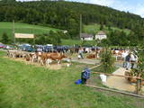 85 Jahre Viehzuchtgenossenschaft Beinwil!