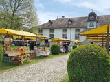Frühlingsmarkt in Fraubrunnen 2024!