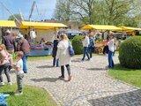 Frühlingsmarkt in Fraubrunnen 2024!